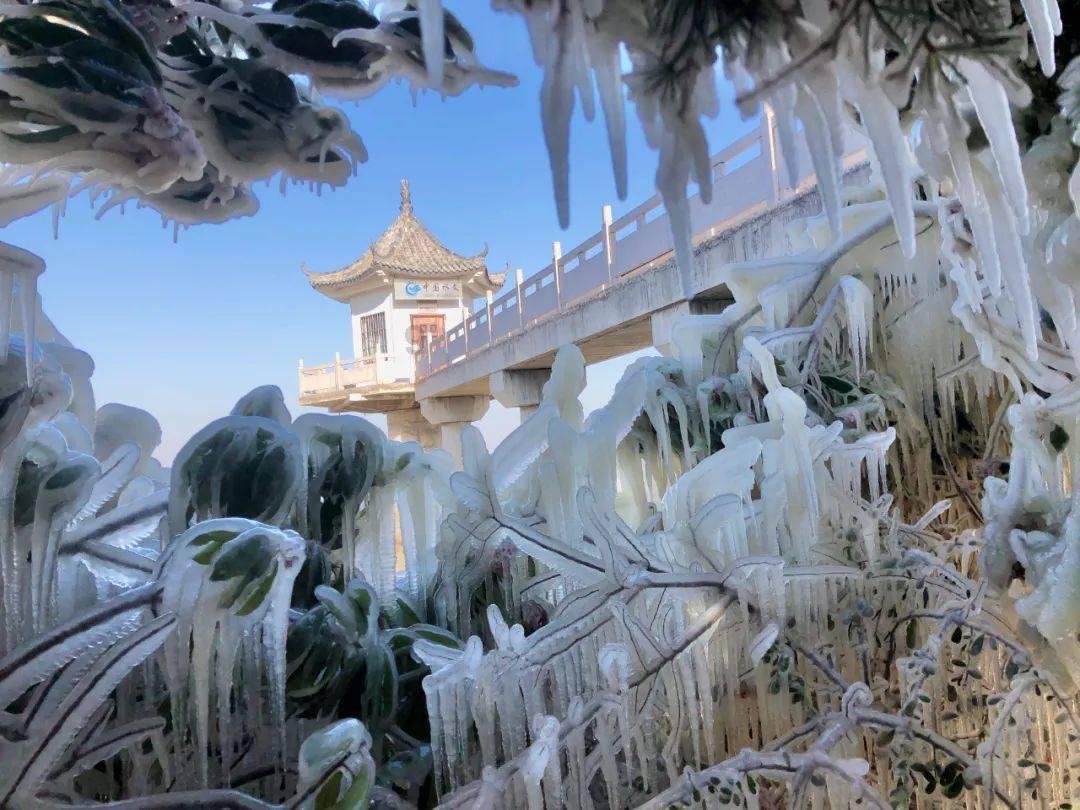 多彩文化 辉映红山(你所不知道的一级馆)